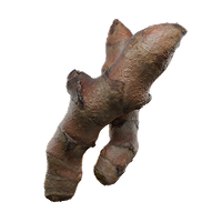 Kurkuma